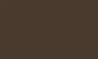 RAL 8014 Sephia Brown